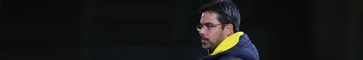 Huddersfield boss David Wagner