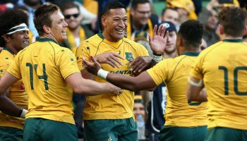 Australia vs Scotland: Wallabies fancied for Sydney stroll