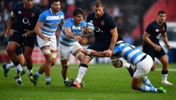 England vs Argentina: Pumas to provide solid test at Twickenham