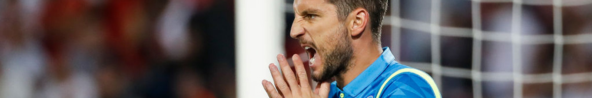 Napoli star Dries Mertens