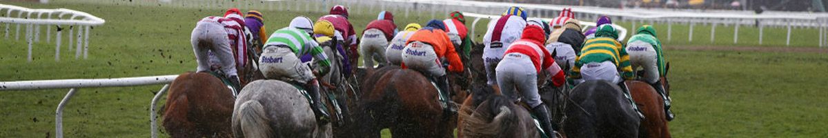 Cheltenham Festival tips, Cheltenham Day 4 tips, Cheltenham Friday tips