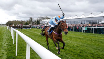 Tingle Creek Chase preview: Un De Sceaux to stun Altior