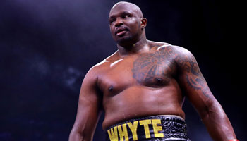 Whyte vs Wallin prediction, boxing