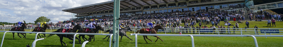 horse racing fixtures