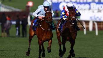 Punchestown Festival tips: Best bets for day five