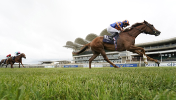 1000 Guineas winners: Five star Newmarket scorers